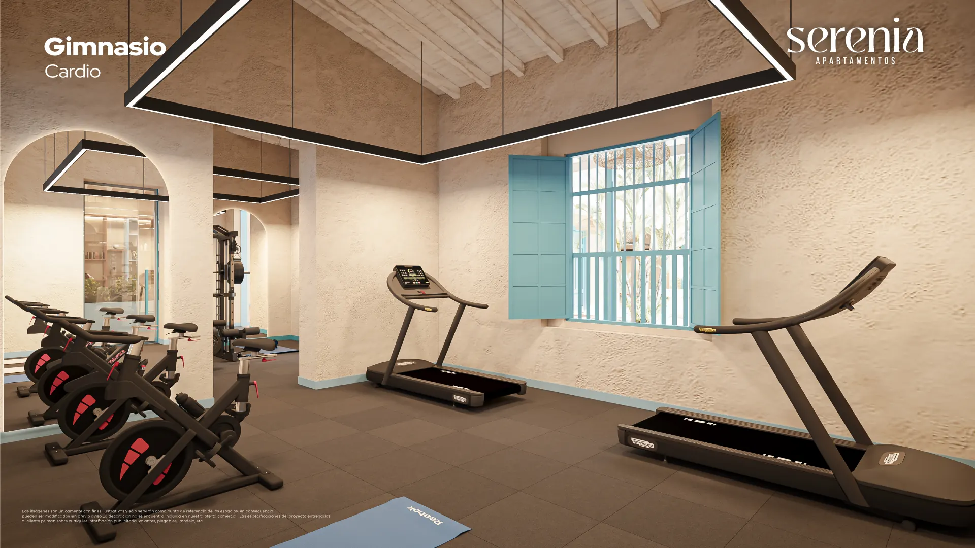 Gimnasio