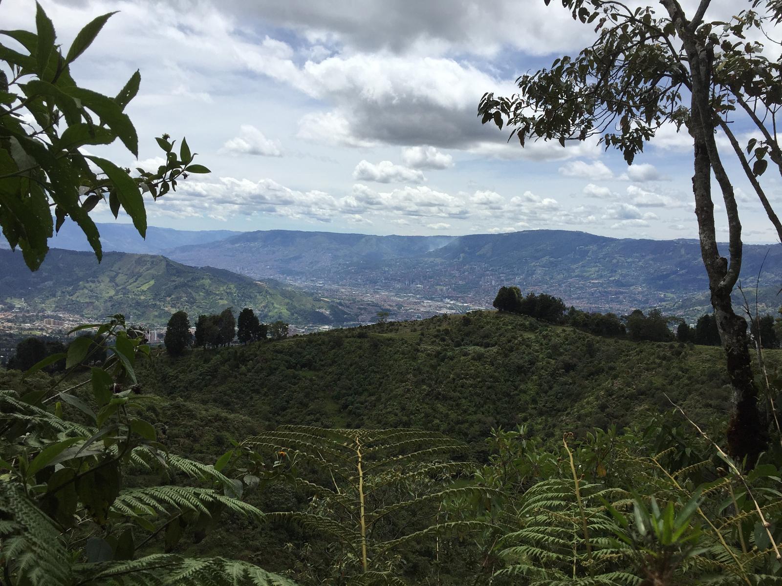 Entorno campestre