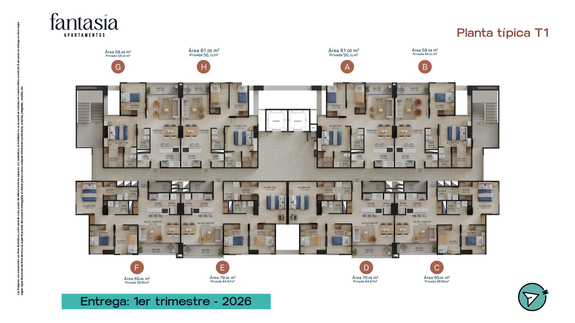 Planta T1