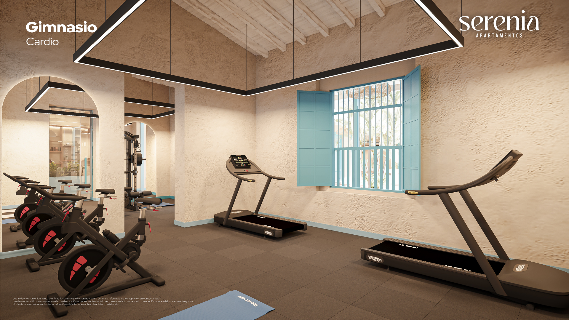 Gimnasio
